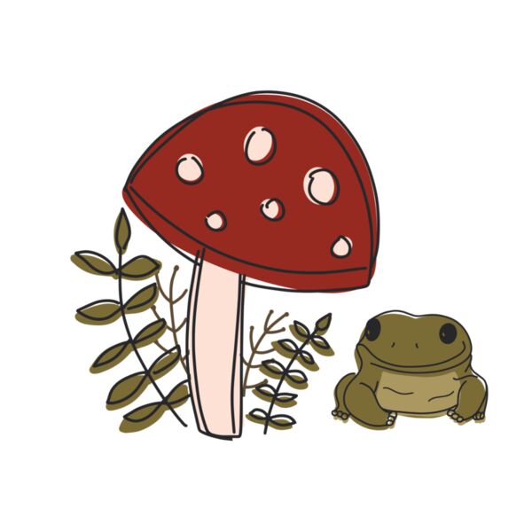 Mushroom   Frog Thumbnail