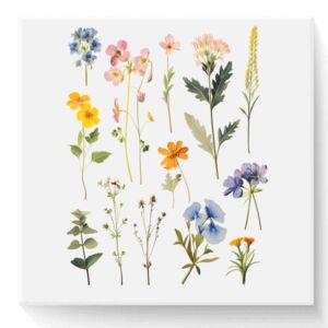 3" x 3" DTF Transfer Thumbnail