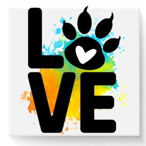 3" x 3" DTF Transfer Thumbnail