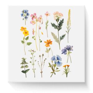 6" x 6" DTF Transfer Thumbnail