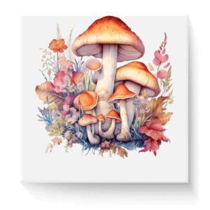 11"x11" Heat DTF Transfer Thumbnail